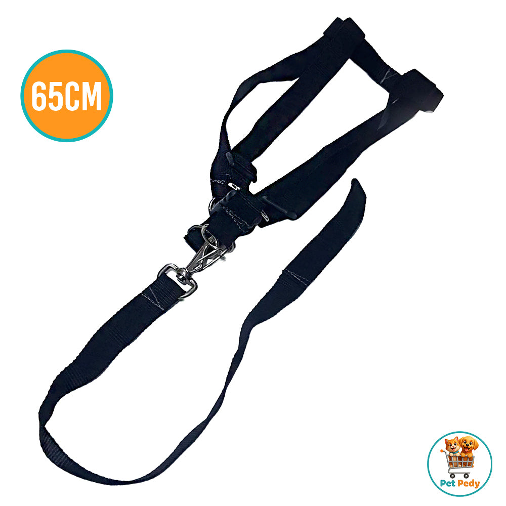 Guia Para Cachorros de Médio Porte