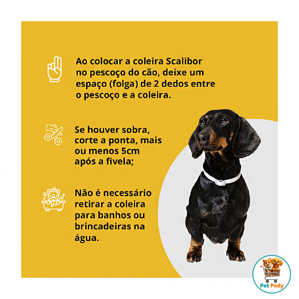 Coleira Antiparasitas Scalibor MSD Saúde Animal