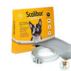 Coleira Antiparasitas Scalibor MSD Saúde Animal