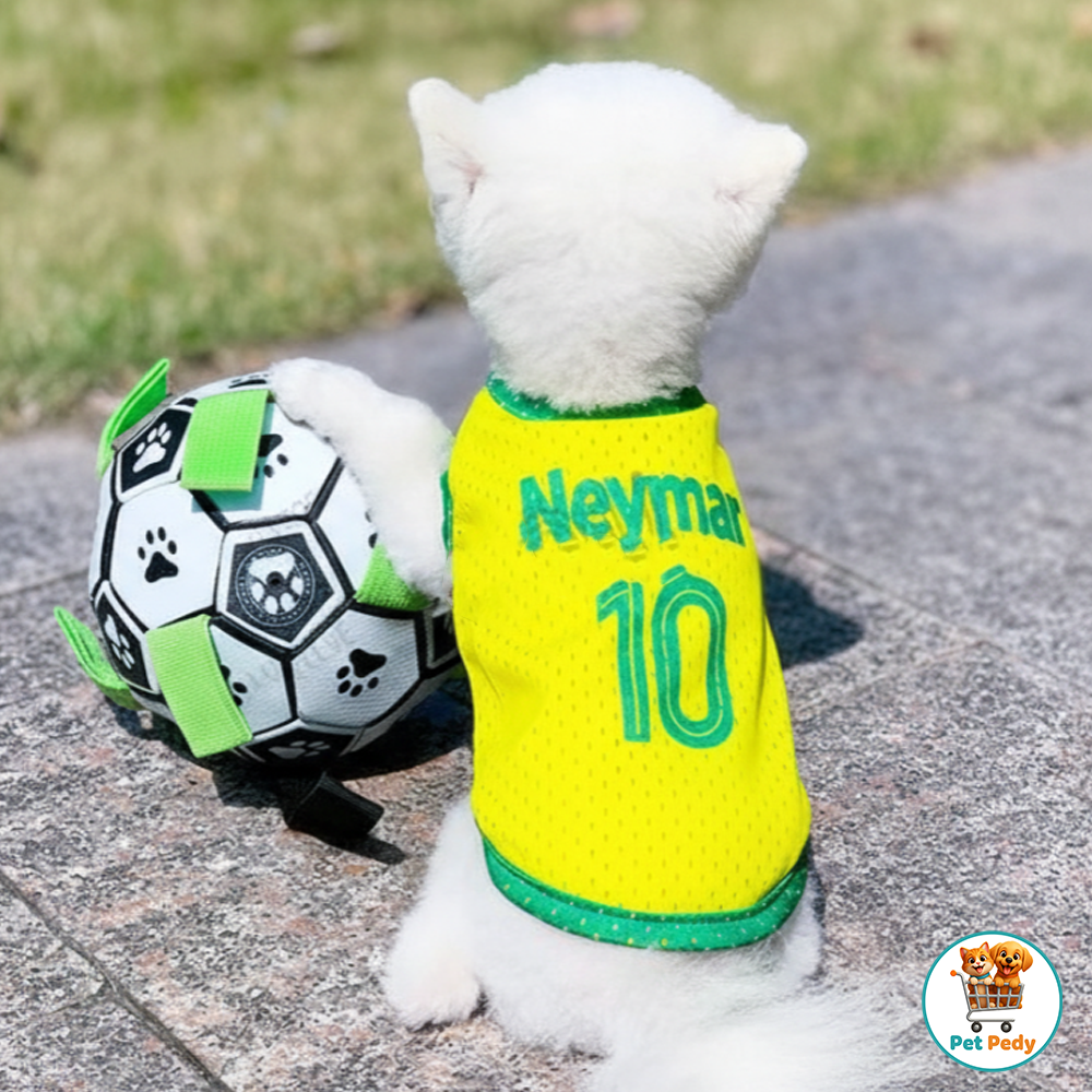 Roupinha Seleção Neymar/Messi - Camisa 10